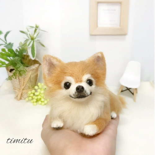 羊毛フェルト チワワ 人形 ぬいぐるみ アレンジメント 直径15cm