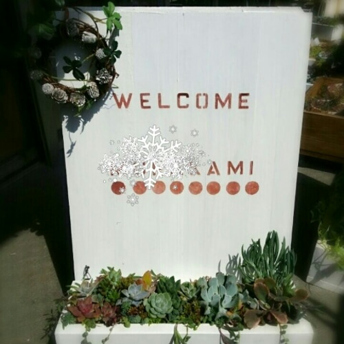 多肉寄せ植えの表札ウェルカムボード 表札・ネームプレート ＊YUKIM