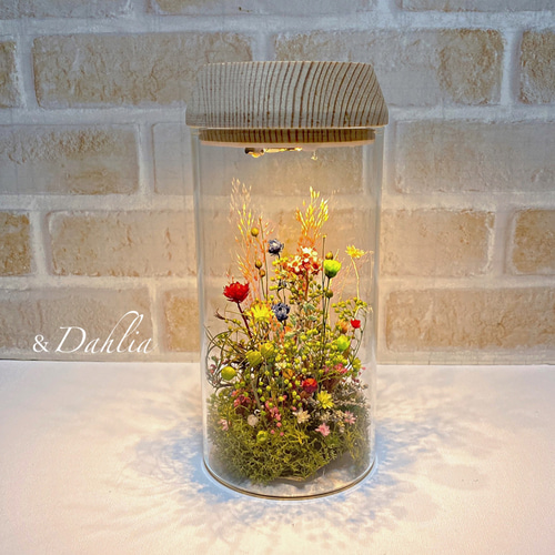 LEDライト付き花のインテリア 癒しの花空間/LEDライト付きボトル テラリウム & Dahlia 通販 8572424