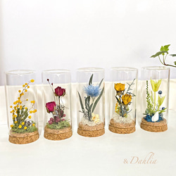 ドライフラワー選んで贈れる/ミニボトル ドライフラワー & Dahlia 通販