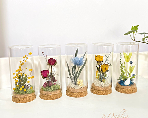 ミニドライフラワー 0_cf5f2dd3496cb4b832e57df1de96