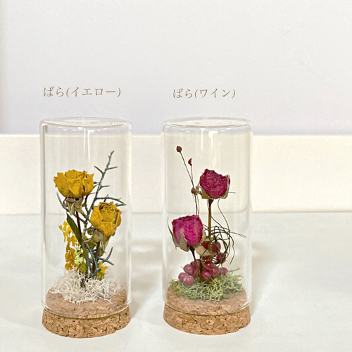 ドライフラワー選んで贈れる/ミニボトル ドライフラワー & Dahlia 通販