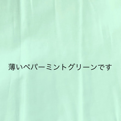 見本マスク＋マスク型紙＋マスクレシピ 5枚目の画像