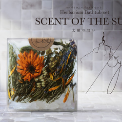 天然素材の入浴剤　HERBARIUM BATHTUB SET　 【太陽の匂い】 1枚目の画像