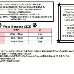 士兵【SM】 第5張的照片