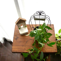 ハイドロカルチャー　シルバーメタル　観葉植物　お部屋に緑を 4枚目の画像