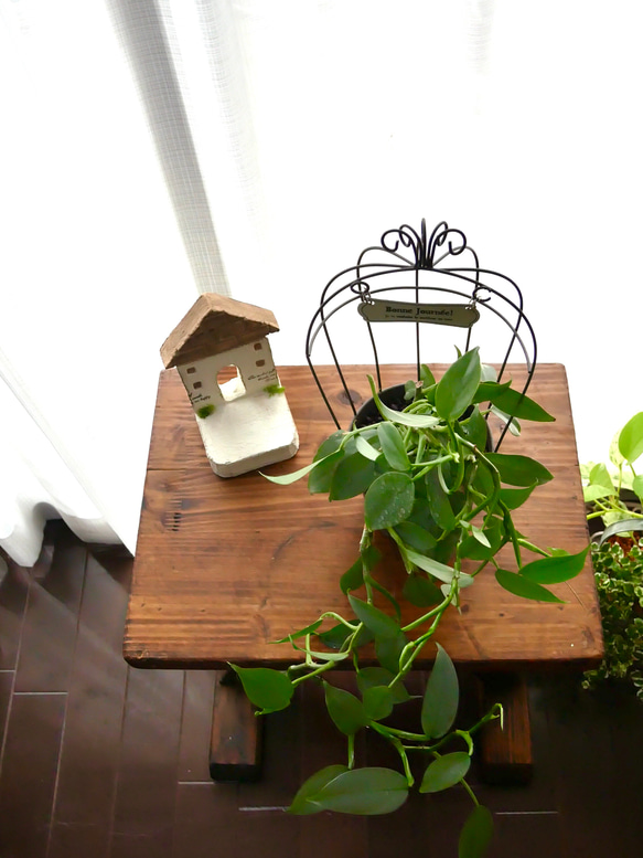 ハイドロカルチャー　シルバーメタル　観葉植物　お部屋に緑を 4枚目の画像