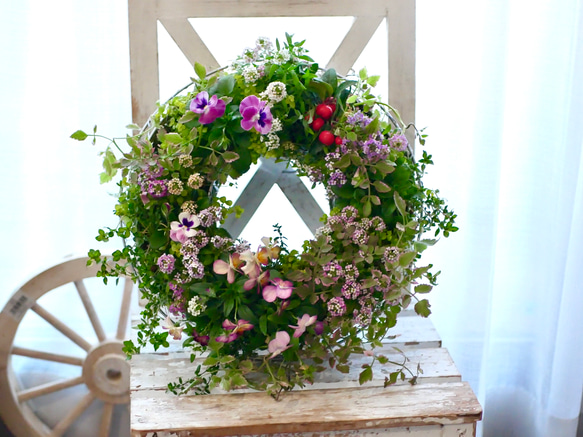 送料無料 35センチ リース ビオラ セリフラミンゴ ライラック