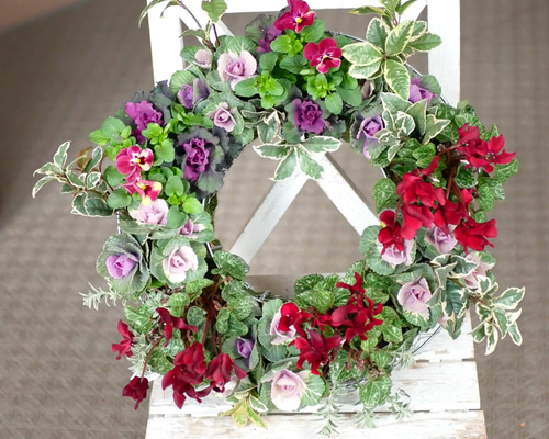 0_4578c42444885193dd97796b4bed