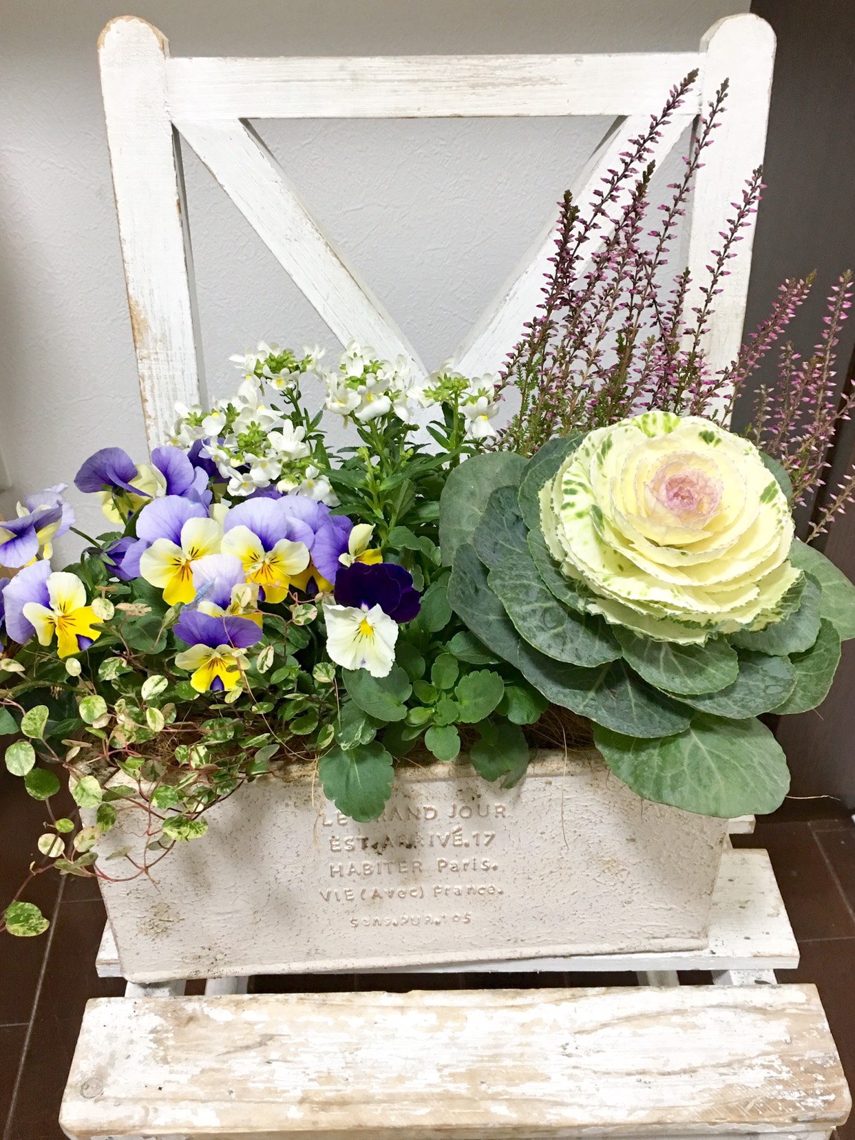 ☆sweetbasket☆季節のお花☆葉牡丹とシクラメンの寄せ植え