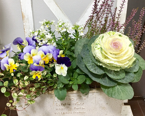 1_4491961bd30c0fe802fa28f0d116