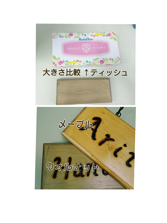 多肉のおまけつき♪ お名前10文字まで無料で焼き入れ♪ 木製表札 2枚目の画像