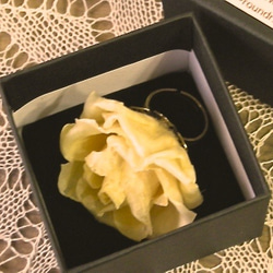 生花 バラL リング ルシードフラワー エクリュ クリームベージュ プロポーズリング 5枚目の画像