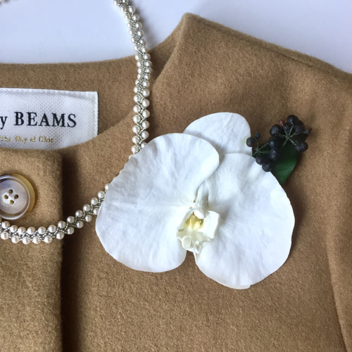 卒業式 入学式 卒園式 生花 胡蝶蘭 コサージュ ブローチ ルシード