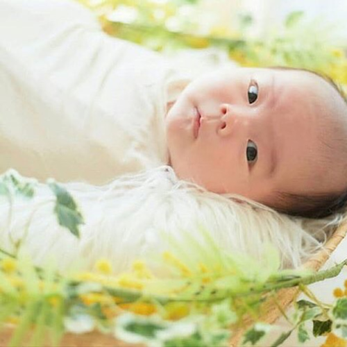 受注制作】ニューボーンフォト フラワーリース 花輪 ミモザ イエロー