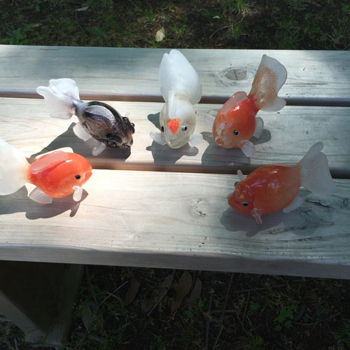 金魚 アクリル樹脂×天然木インテリア 金魚アート 祭 こだわりの 金魚 アクリル樹脂×天然木インテリア 金魚アート 祭 こだわりの