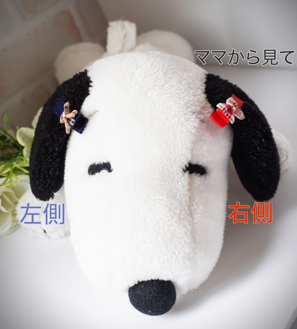  第11張的照片