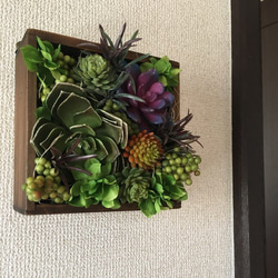 多肉植物壁掛け(アンティーク風画鋲付き)送料無料 5枚目の画像