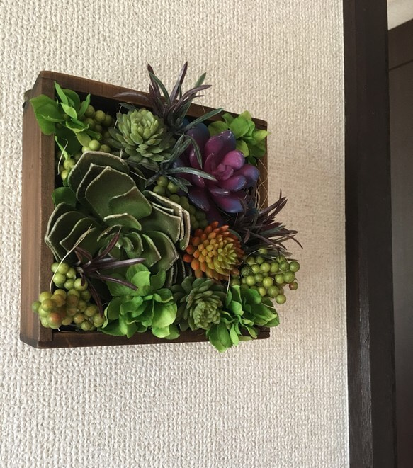 多肉植物壁掛け(アンティーク風画鋲付き)送料無料 5枚目の画像