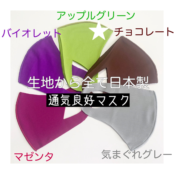 アップルグリン【通気良好マスク】日本製 洗える立体マスク１枚　耳が痛くなりにくい　▶︎オプション マスクケース 1枚目の画像