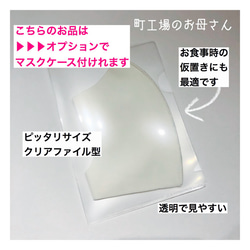 アップルグリン【通気良好マスク】日本製 洗える立体マスク１枚　耳が痛くなりにくい　▶︎オプション マスクケース 2枚目の画像