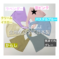 淡ピンク　限定色【冷涼マスク】日本製　洗える 1枚　耳が痛くならない　小学生から大人大きいサイズ 1枚目の画像