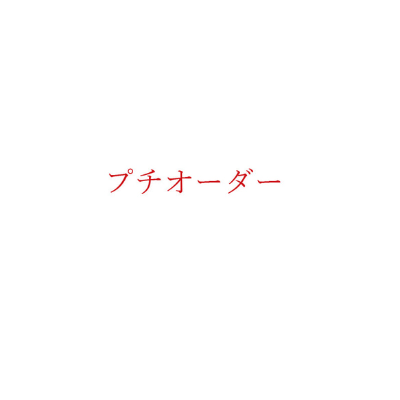 【受注生産オプション サイズ変更料金】エプロン、衣類　プチオーダー用 1枚目の画像