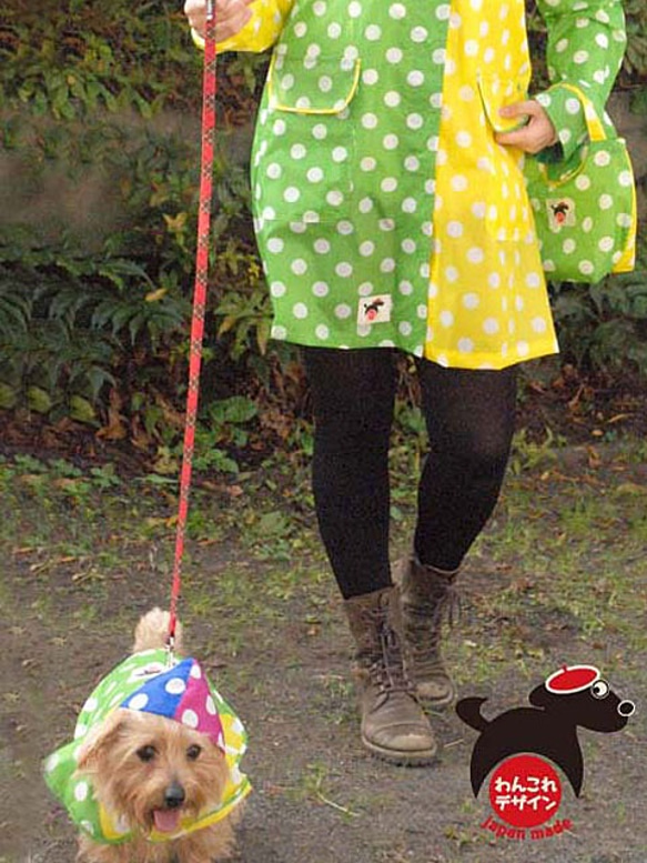 WLY1818-D  狗衣服雨衣單獨  完全防水的波爾卡圓點四色配色方案 第4張的照片