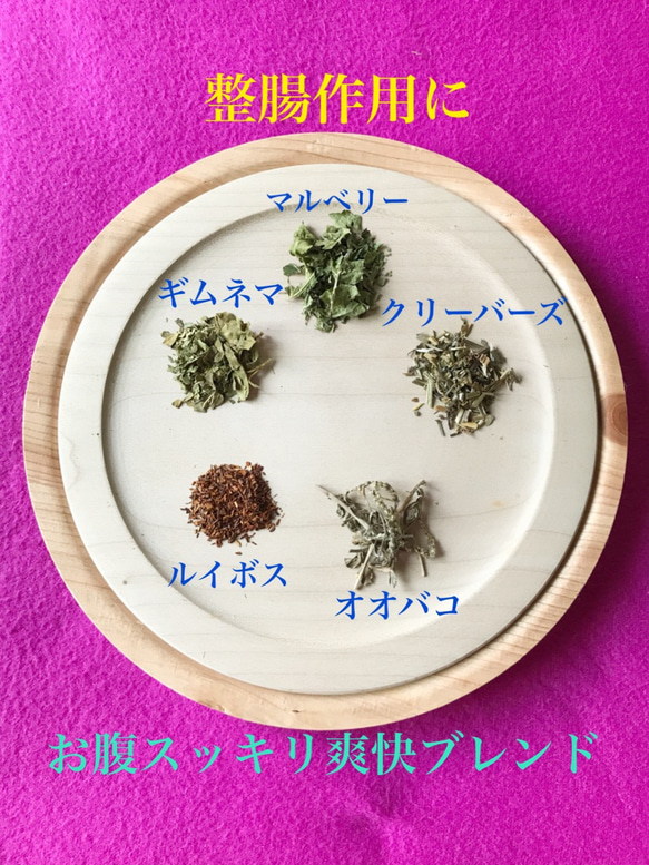 ＊送料無料＊緑の宝箱✨ハーブで作るセット✨ 3枚目の画像