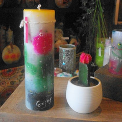 candle　tall円柱wide6.5cm　サボテン　ｄ６７８ 5枚目の画像