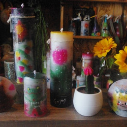 candle　tall円柱wide6.5cm　サボテン　ｄ６７８ 7枚目の画像