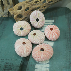 1_d325047ac67486beb2b523f07d2d