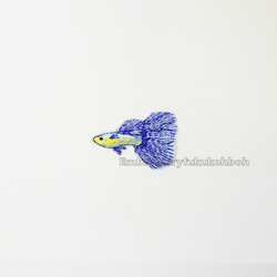 ベタ　熱帯魚　刺繍ワッペン　魚ワッペン 1枚目の画像