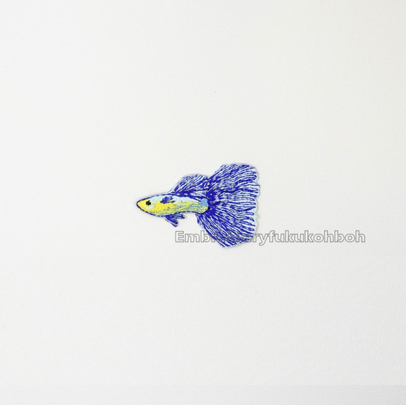 ベタ　熱帯魚　刺繍ワッペン　魚ワッペン 1枚目の画像