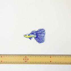 ベタ　熱帯魚　刺繍ワッペン　魚ワッペン 2枚目の画像