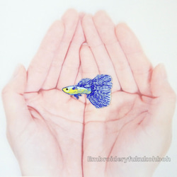 ベタ　熱帯魚　刺繍ワッペン　魚ワッペン 3枚目の画像