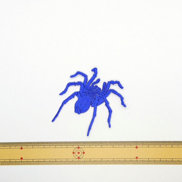 タランチュラ大　刺繍ワッペン　蜘蛛　昆虫　虫 2枚目の画像
