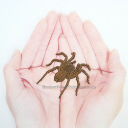 タランチュラ大　刺繍ワッペン　蜘蛛　昆虫　虫 14枚目の画像