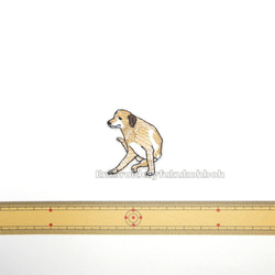 かゆい犬　刺繍ワッペン　犬ワッペン　レトリバー　茶色い犬 3枚目の画像