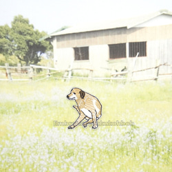 かゆい犬　刺繍ワッペン　犬ワッペン　レトリバー　茶色い犬 4枚目の画像