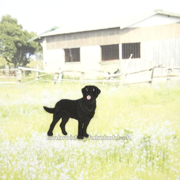 真っ黒の犬　刺繍ワッペン　犬ワッペン　レトリバー　黒い犬 6枚目の画像