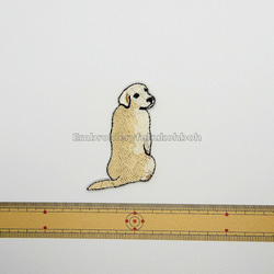ふりむくゴールデン　刺繍ワッペン　犬ワッペン　ゴールデンレトリバー 5枚目の画像