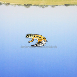 ヒョウモントカゲモドキ　レオパ　刺繍ワッペン　爬虫類　トカゲ 10枚目の画像