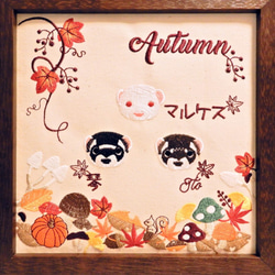 Seasons Ferrets  ***Autumn***  フェレットたちの秋 1枚目の画像