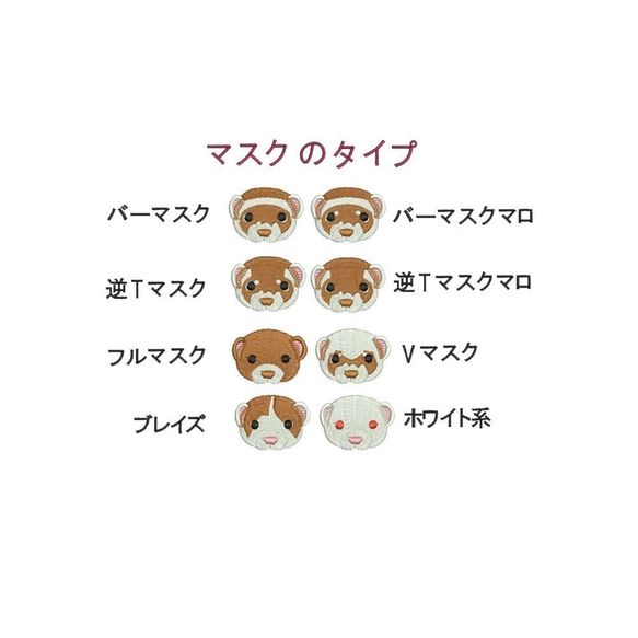 Seasons Ferrets  ***Autumn***  フェレットたちの秋 7枚目の画像