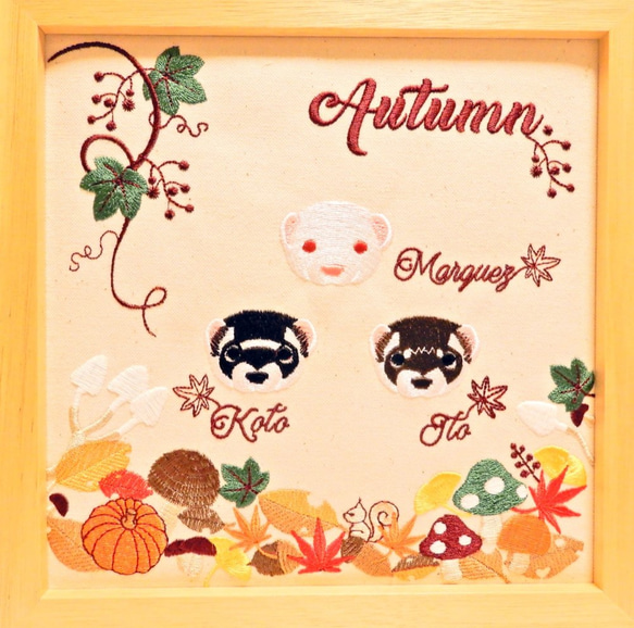 Seasons Ferrets  ***Autumn***  フェレットたちの秋 3枚目の画像
