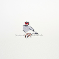 シルバー文鳥のワッペン 1枚目の画像