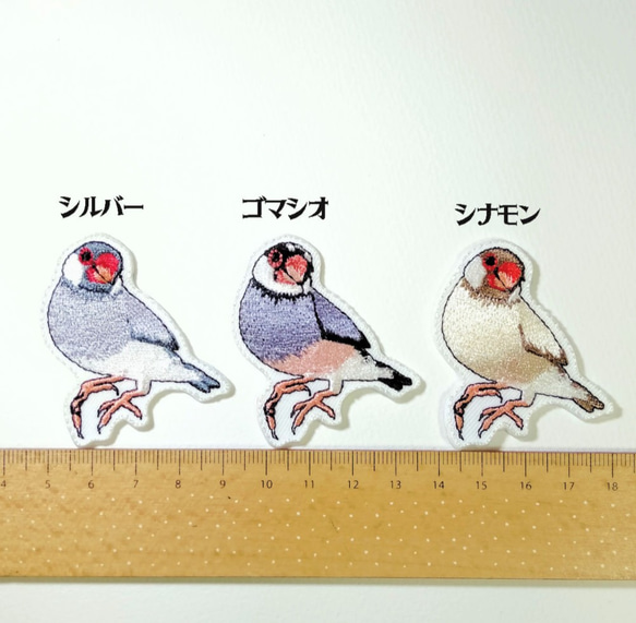 シルバー文鳥のワッペン 7枚目の画像