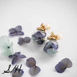 紫陽花の花びらを詰め込んだガラスドームピアス/イヤリング 1枚目の画像