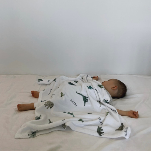 ブランケット〉D-I-N-O-S-A-U-R | 恐竜 | 名入れ | 出産祝い 雑貨